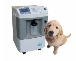 Kis állati oxigén sűrítő 5/8/10L